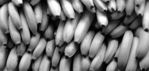 Go_Bananas